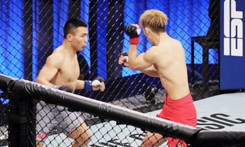 Võ sĩ người Hiệp Hoà hạ đối thủ Nhật Bản ở vòng loại&nbsp;UFC