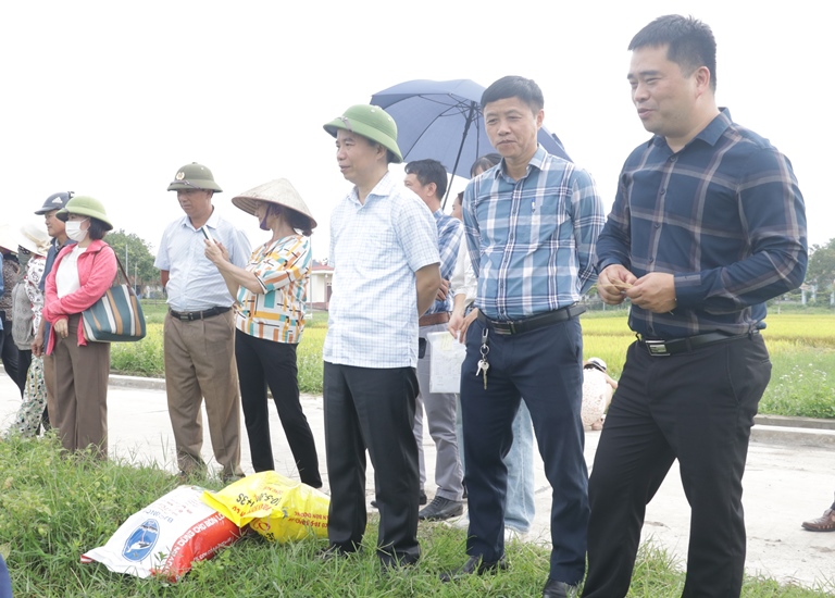 Đồng chí Dương Thanh Tùng, Bí thư Huyện ủy Hiệp Hòa thăm mô hình cấy lúa sử dụng phân bón Ba con cò khép kín tại xã Danh&nbsp;Thắng