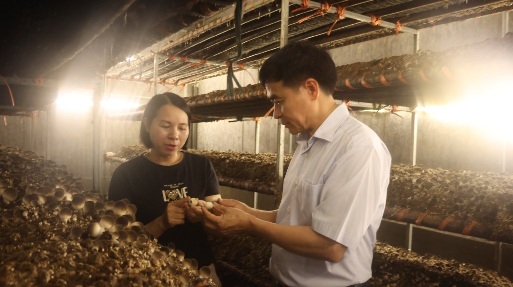 Đồng chí Nguyễn Xuân Thảo UVBTV, Phó chủ tịch Thường trực kiểm tra sản phẩm OCOP trên địa bàn&nbsp;huyện