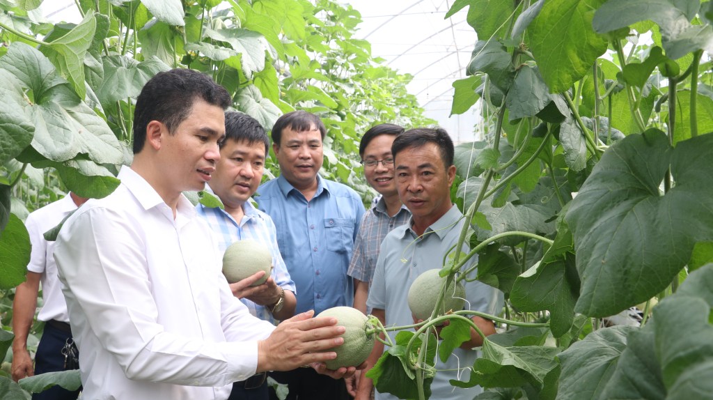 Bí thư Đảng ủy xã Hoàng Công Bộ thăm mô hình sản xuất nông nghiệp tiêu&nbsp;biểu