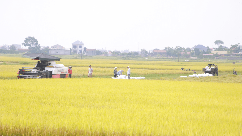 Các trường hợp được miễn thuế sử dụng đất nông nghiệp đến hết ngày&nbsp;31/12/2030