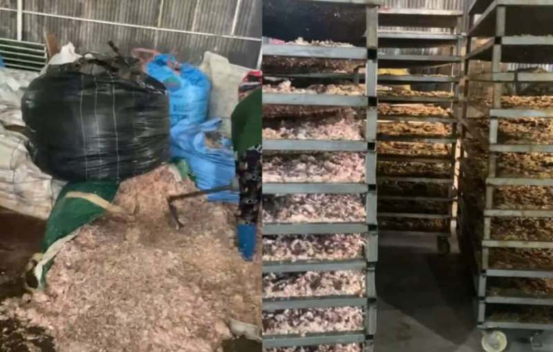 Thực hư từ xưởng sản xuất chân gà, vịt bốc mùi tại thôn Thanh Lâm xã Hoàng&nbsp;Vân