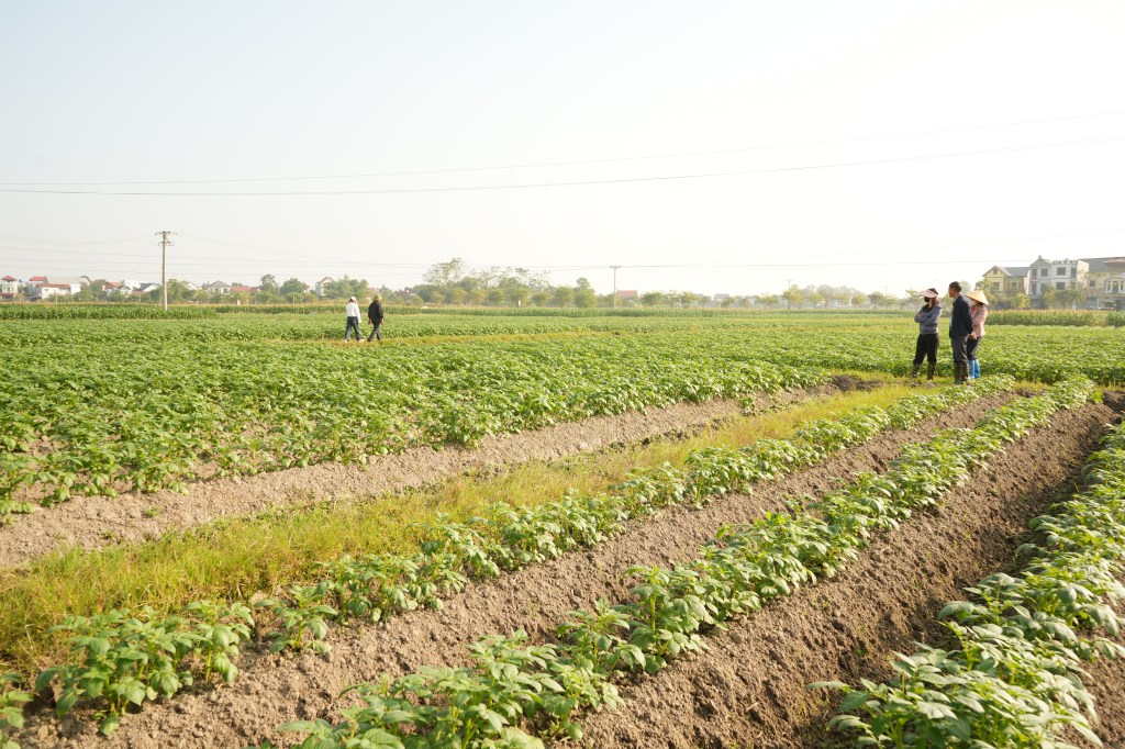 Hợp Thịnh: 13 chỉ tiêu chủ yếu Phát triển kinh tế – xã hội năm&nbsp;2026