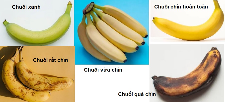 Dinh dưỡng của chuối thay đổi như thế nào khi độ chín của nó thay&nbsp;đổi?