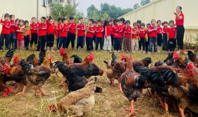 Phong trào “Trồng một cây – Nuôi một con” ở Trường Mầm non Thanh&nbsp;Vân