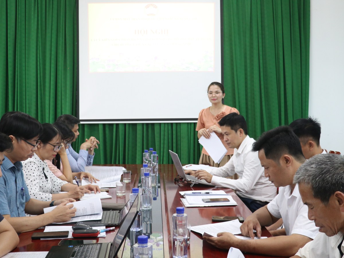 Hội nghị tham gia ý kiến góp ý, phản biện xã hội đối với chủ trương đầu tư dự án Chợ Hương&nbsp;Lâm