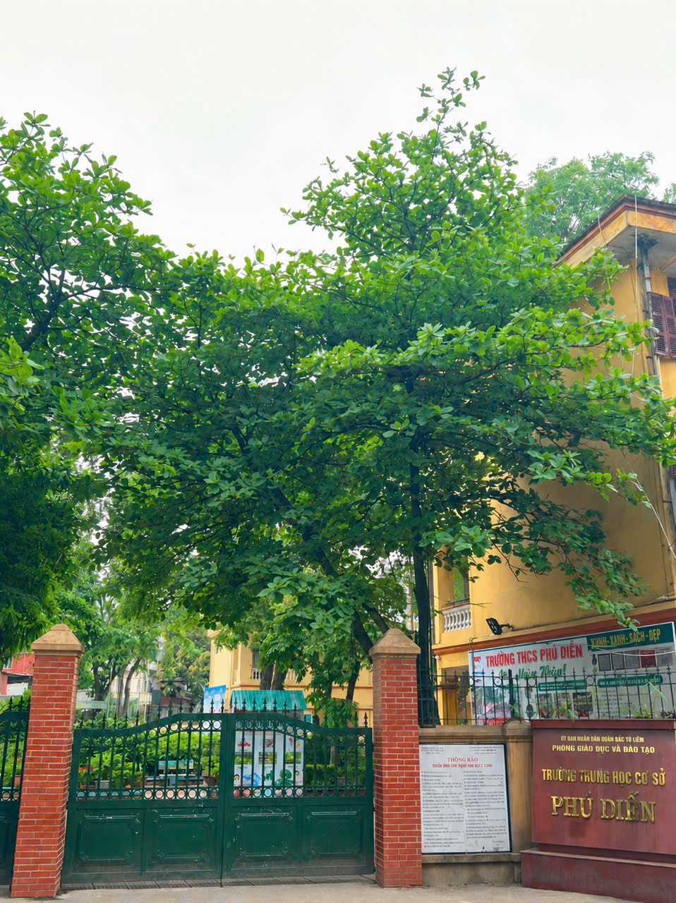 Mênh mang mùa nắng tháng 5