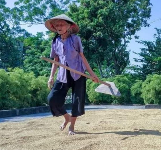Đi cày đêm ( thơ Đỗ&nbsp;Hoan)